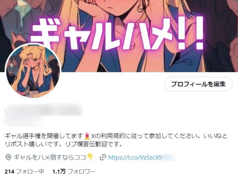 Akabuy アダルトアフィリエイト成功ガイド(X/Twitter編) - シャドウバンから永久凍結まで、絶対回避の極意 アダルトアフィリエイト成功ガイド(X/Twitter編) - シャドウバンから永久凍結まで、絶対回避の極意